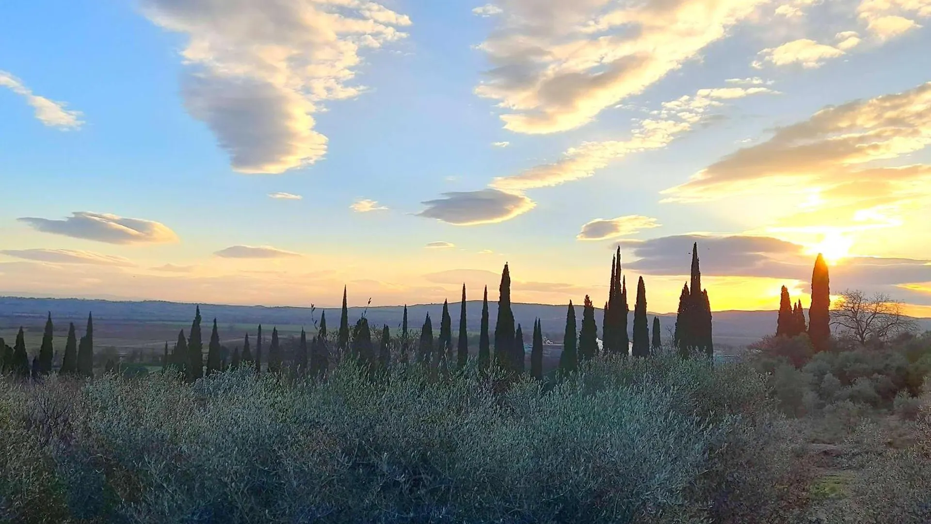 Il Nido Di Torri Apartamento Sovicille