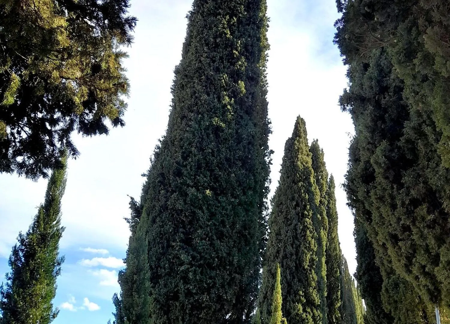 Il Nido Di Torri Apartamento Sovicille 0*,  Itália