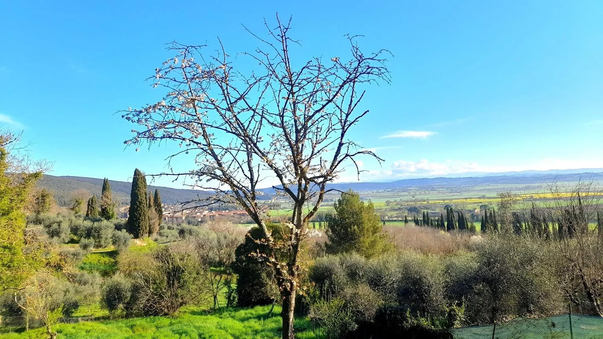 Il Nido Di Torri Apartamento Sovicille 0*,