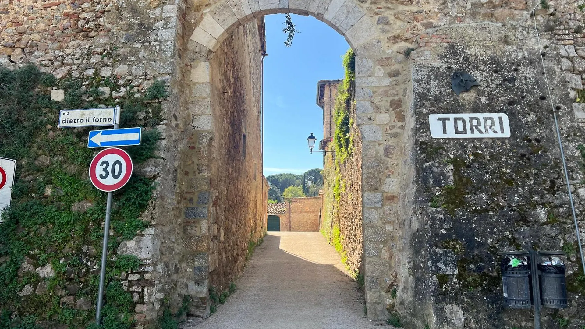 Il Nido Di Torri Apartamento Sovicille